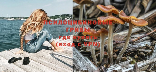 спиды Белокуриха