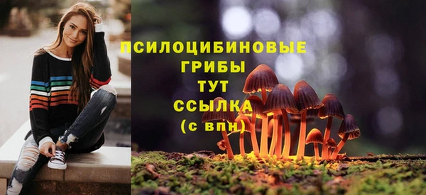 гидра Беломорск