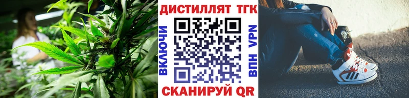 сколько стоит  Армавир  ТГК концентрат 