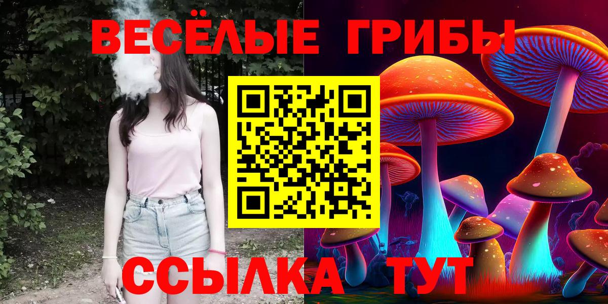 Галлюциногенные грибы GOLDEN TEACHER Армавир