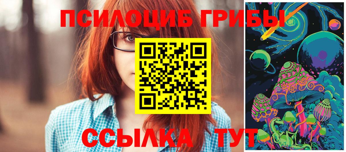 Псилоцибиновые грибы прущие грибы  Вход с VPN  цена наркотик  Армавир 